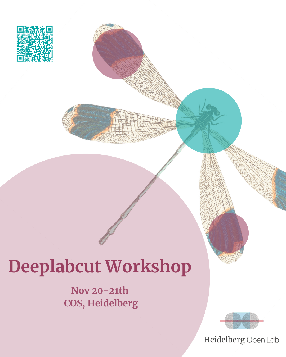 Animal tracking in Deeplabcut, Nov 20-21th